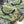 Load image into Gallery viewer, Ballard Dill Flavored Cheddar Cheese Curds