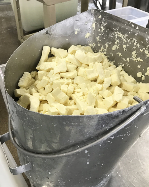 Ballard Plain Cheese Curds