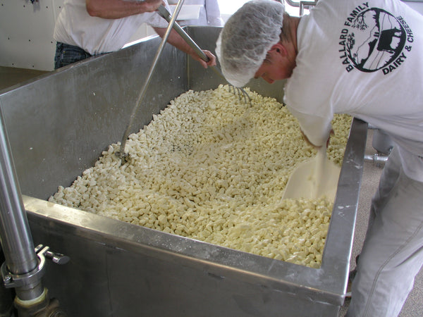Ballard Garlic and Herb Cheese Curds