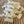 Load image into Gallery viewer, Ballard Garlic and Herb Cheese Curds