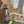 Load image into Gallery viewer, Ballard Idaho Grilling Cheese