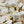 Load image into Gallery viewer, Ballard Pepper and Garlic Cheese Curds