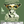 Load image into Gallery viewer, Ballard Parmarono
